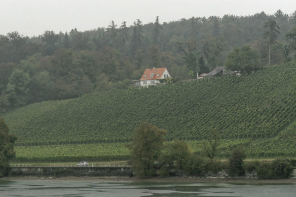 Ein Haus auf einem kleinen Weinberg am Oberrhein. Das Wetter ist diesig, das Bild wirkt sehr flau. Aufgenommen bei einer Urlaubsreise mit der Bahn