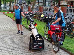 hafenfest 113